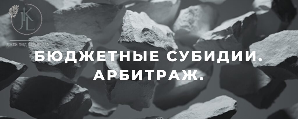Бюджетные субсидии. Арбитраж